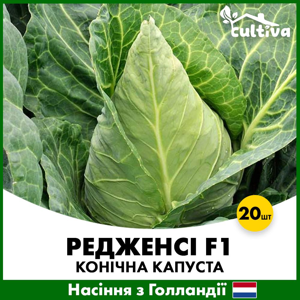 Семена капусты Hazera Коническая Редженси F1 20 шт. (R5100020)