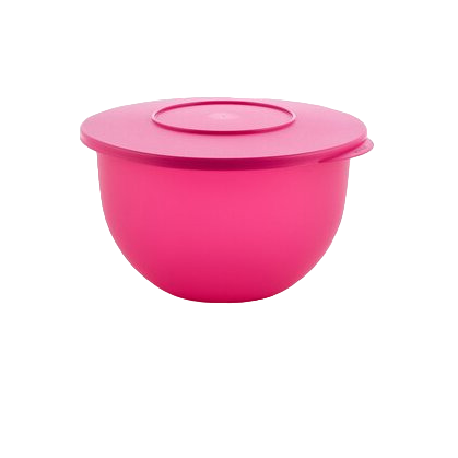 Чаша Tupperware Чарівність 2,5 л