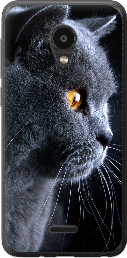 Чехол на Meizu C9 Красивый кот (3038u-1627-42517)