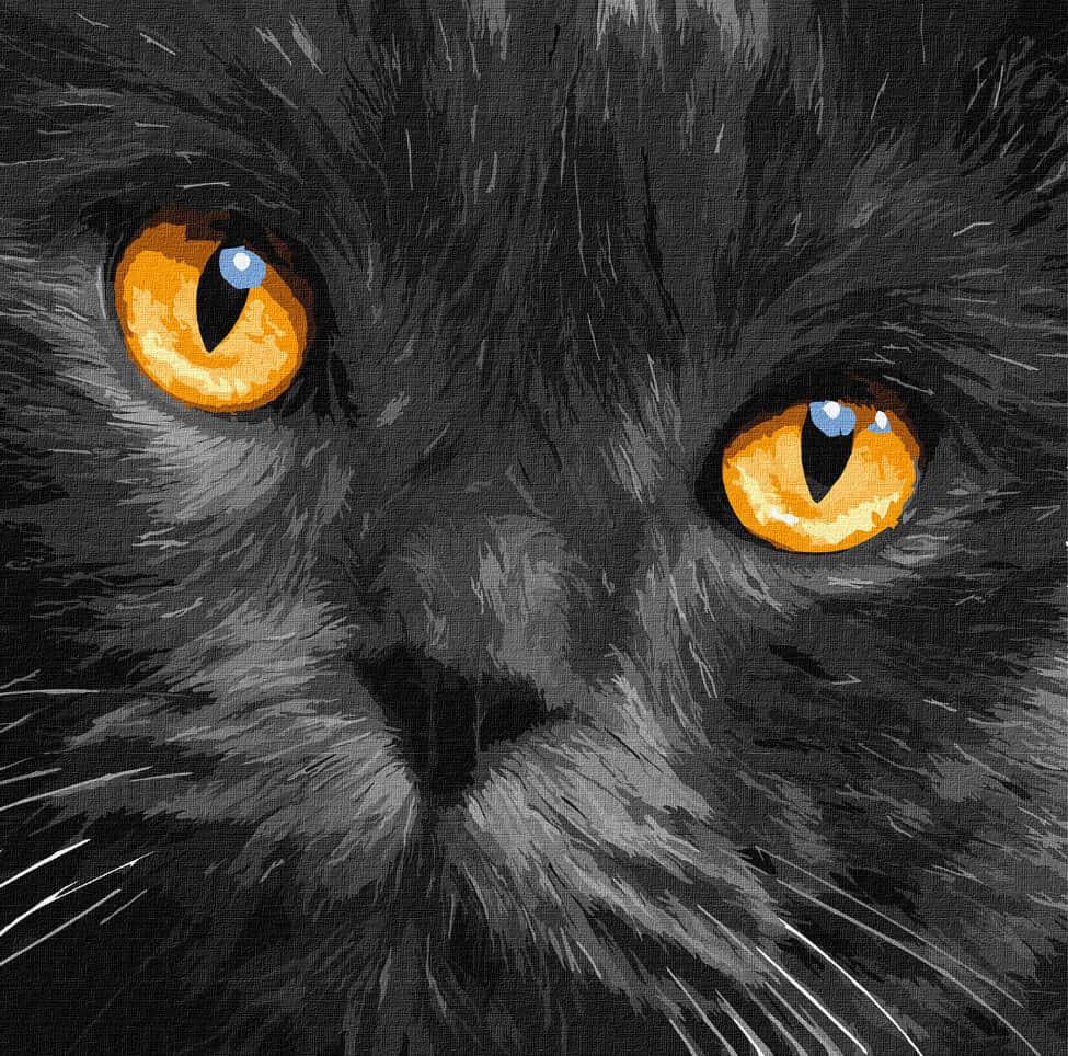 Картина по номерам Идейка КН4391 Янтарные глаза 40х40 см (L067240)