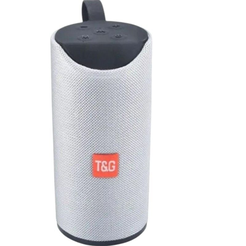 Портативная колонка T&G TG-113 Bluetooth Gray (tf7161)