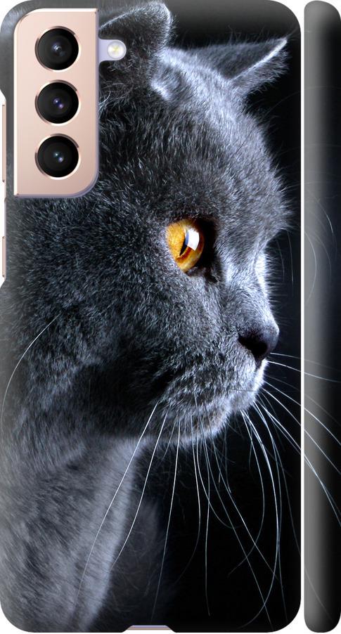 Чехол на Samsung Galaxy S21 Красивый кот (3038m-2114-42517)