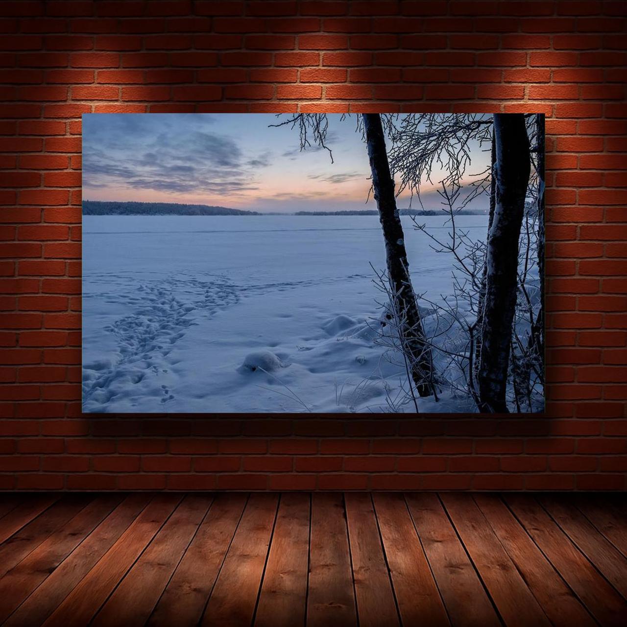 Картина на холсте Природа 50х70 см (N802)