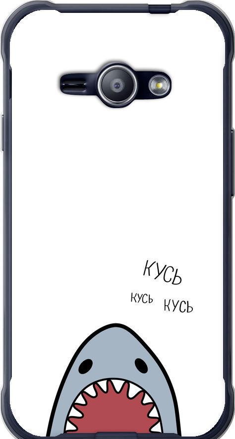 Чехол на Samsung Galaxy J1 Ace J110H Акула (4870u-215-42517)