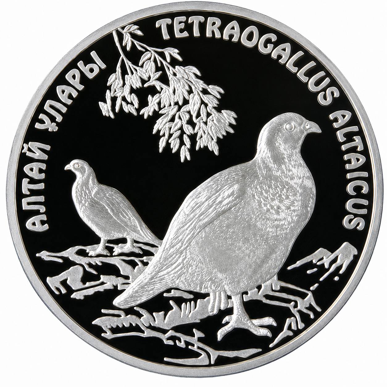 Колекційна монета Казахстан 500 тенге 2006 Птах алтайський улар Срібло Proof (KM#83)