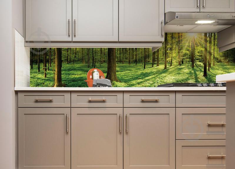 Наклейки кухонный фартук Zatarga " Лес лучи солнца " 650х2500мм Зеленый (Z180282/1)