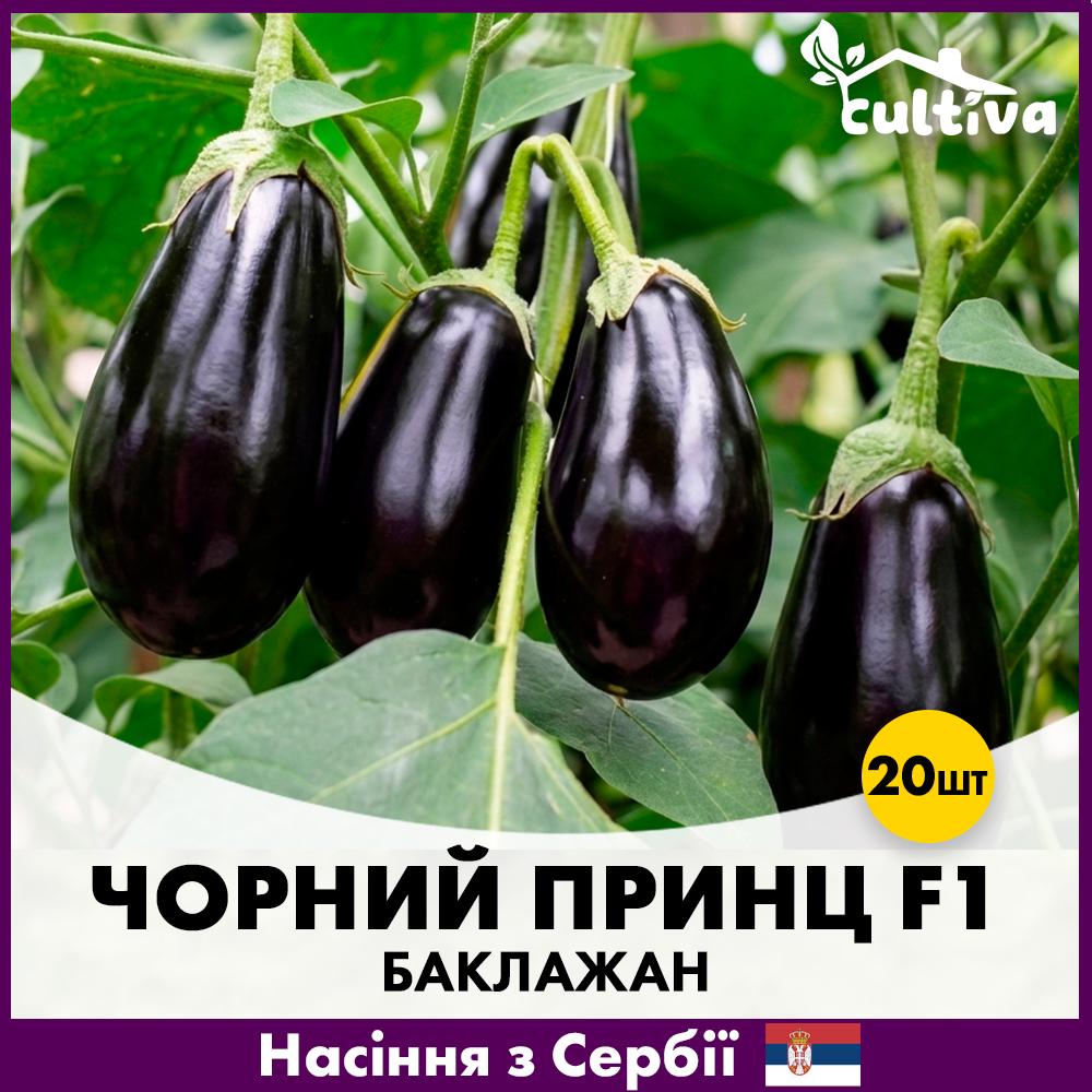 Насіння баклажану Superior Чорний Принц F1 20 шт. (R51164)