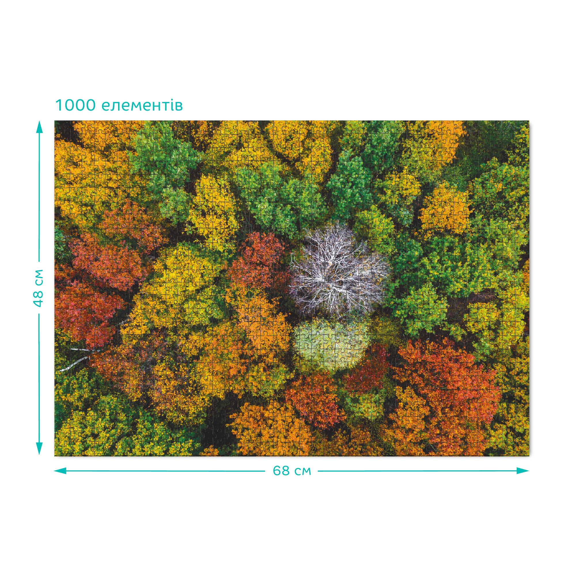 Пазл картонний DoDo Село Дземброня Україна 1000 елементів в коробці (111812) - фото 3 Пазл картонний DoDo Село Дземброня Україна 1000 елементів в коробці (111812) - фото 3