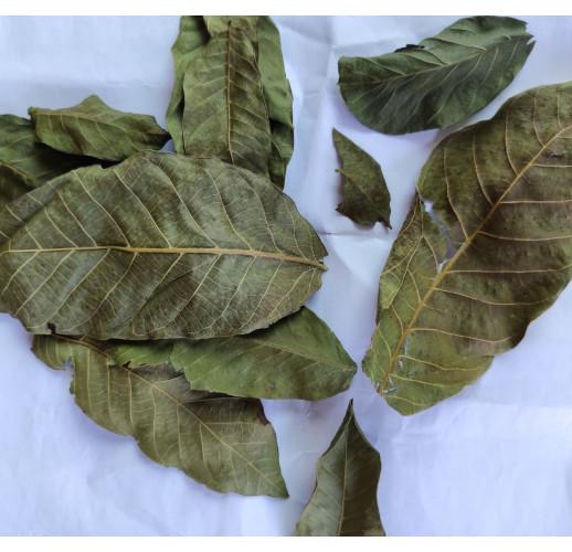 Сушене листя горіха волоського Herbs Zaporoje 5 кг (С0037)