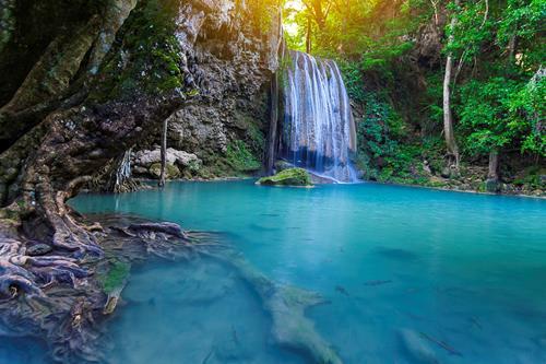 Картина на холсте Природа 40x30 см (PR198)