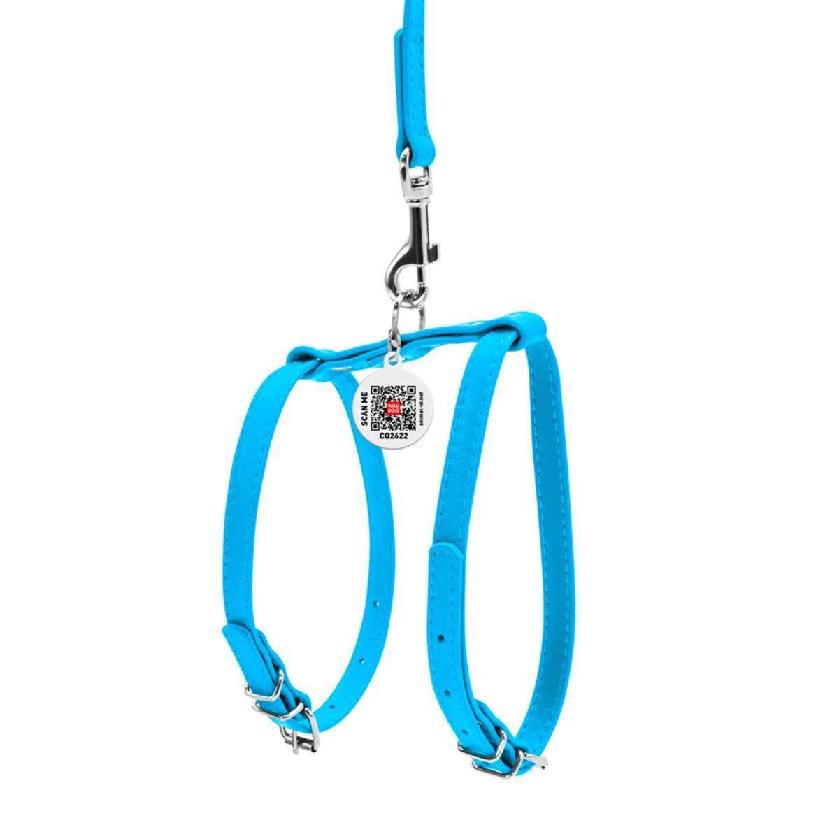 Шлея с поводком для собак Waudog Glamour с QR паспортом/кожаной 9 мм х 20-30 см х 30-40 см Голубой (33992 Col)