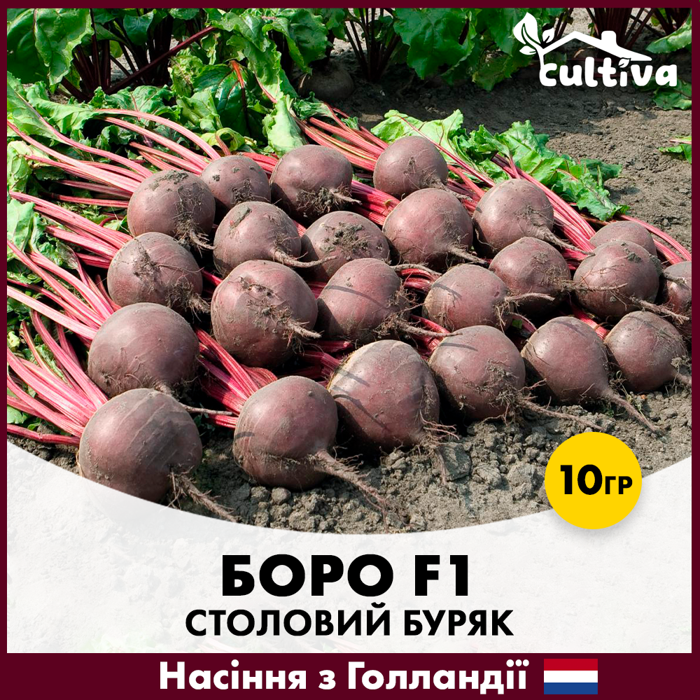 Семена свеклы Bejo Столовый Боро F1 10 г (R50230)