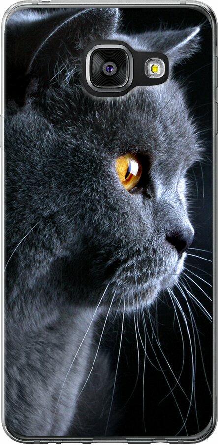 Чехол на Samsung Galaxy A3 (2016) A310F Красивый кот (3038t-159-42517)