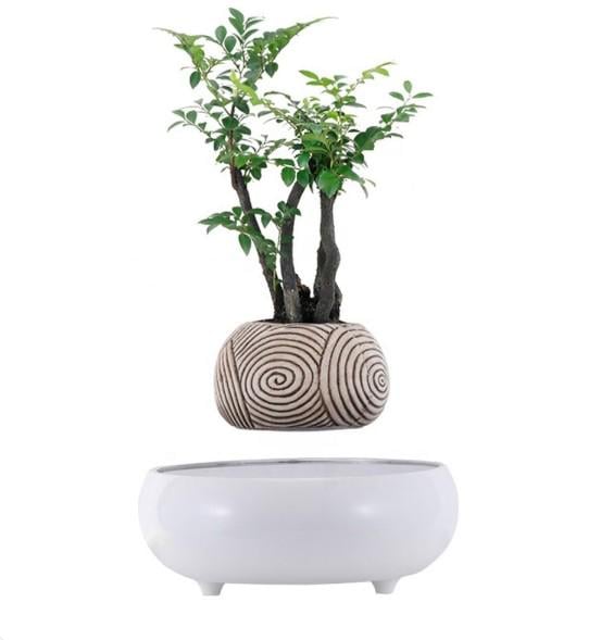 Горщик для рослин магнітний левітаційний HCNT Magnetic Levitating Pot M5B-PZ-T ABS White (M005B-PW-T) Горщик для рослин магнітний левітаційний HCNT Magnetic Levitating Pot M5B-PZ-T ABS White (M005B-PW-T)