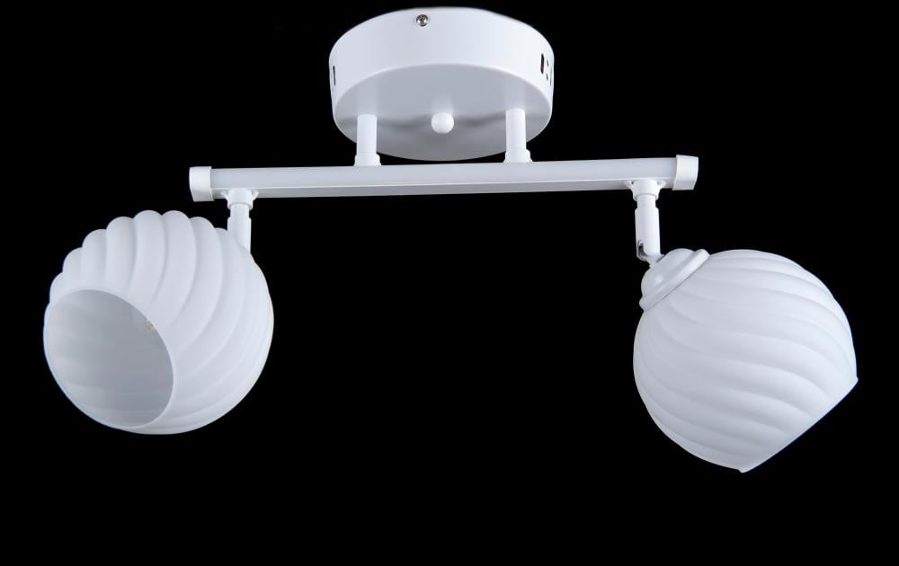 Люстра з плафонами Ray L05204/2 White (IR006197)