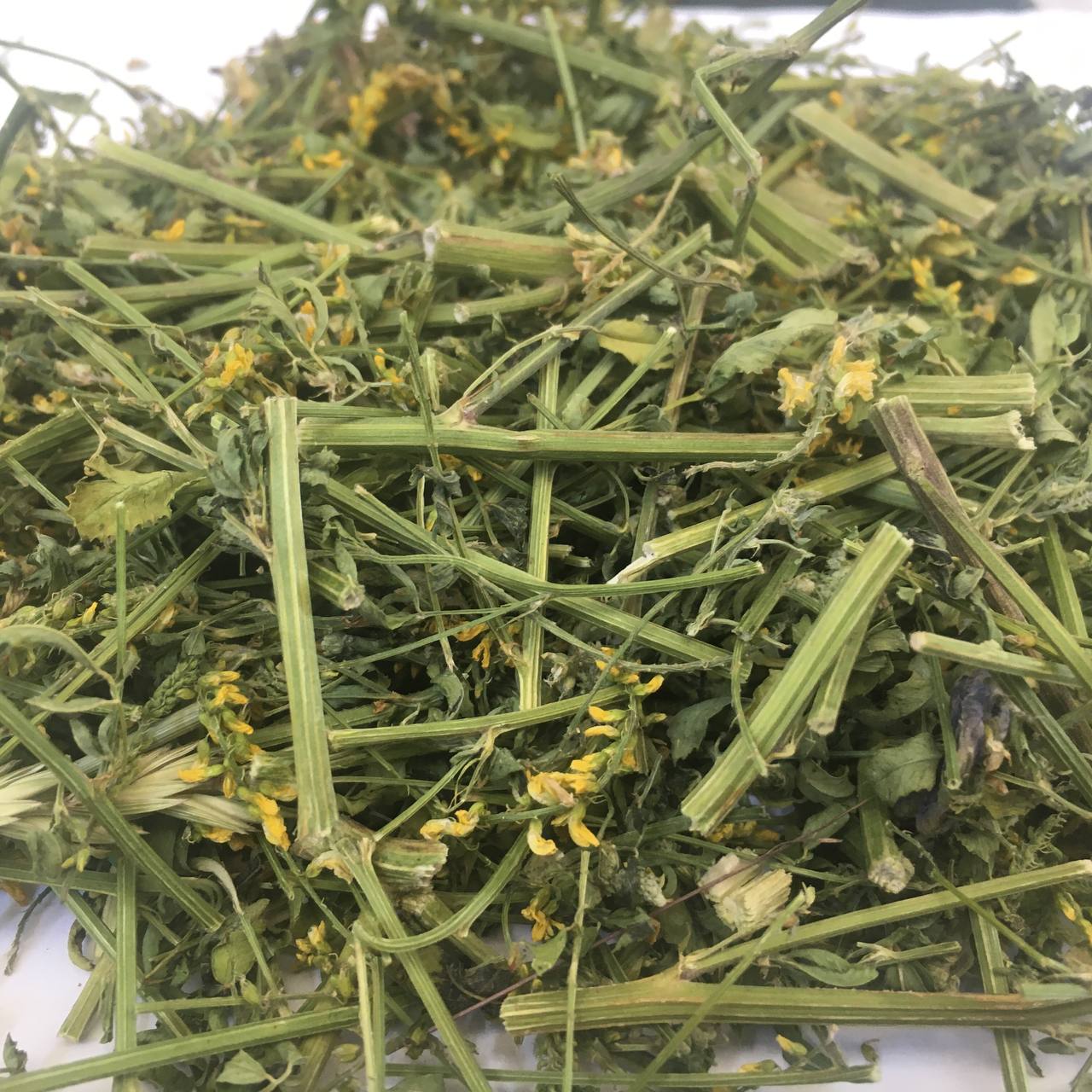 Буркун желтый лекарственный Карпаты 50 г (62931c846d7f136b2b0d82f2)