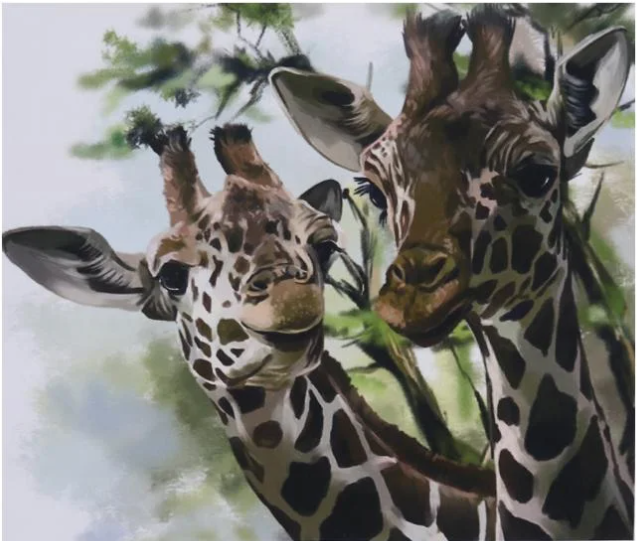 Алмазна мозаїка за номерами Josef Otten Жирафи 71263_BGLE 40x50 см (MTT-191204)