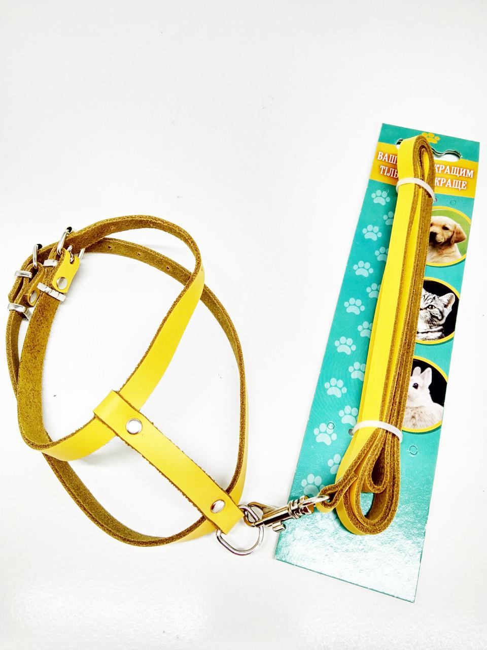 Комплект поводок и шлея для животных Желтый (ф402)