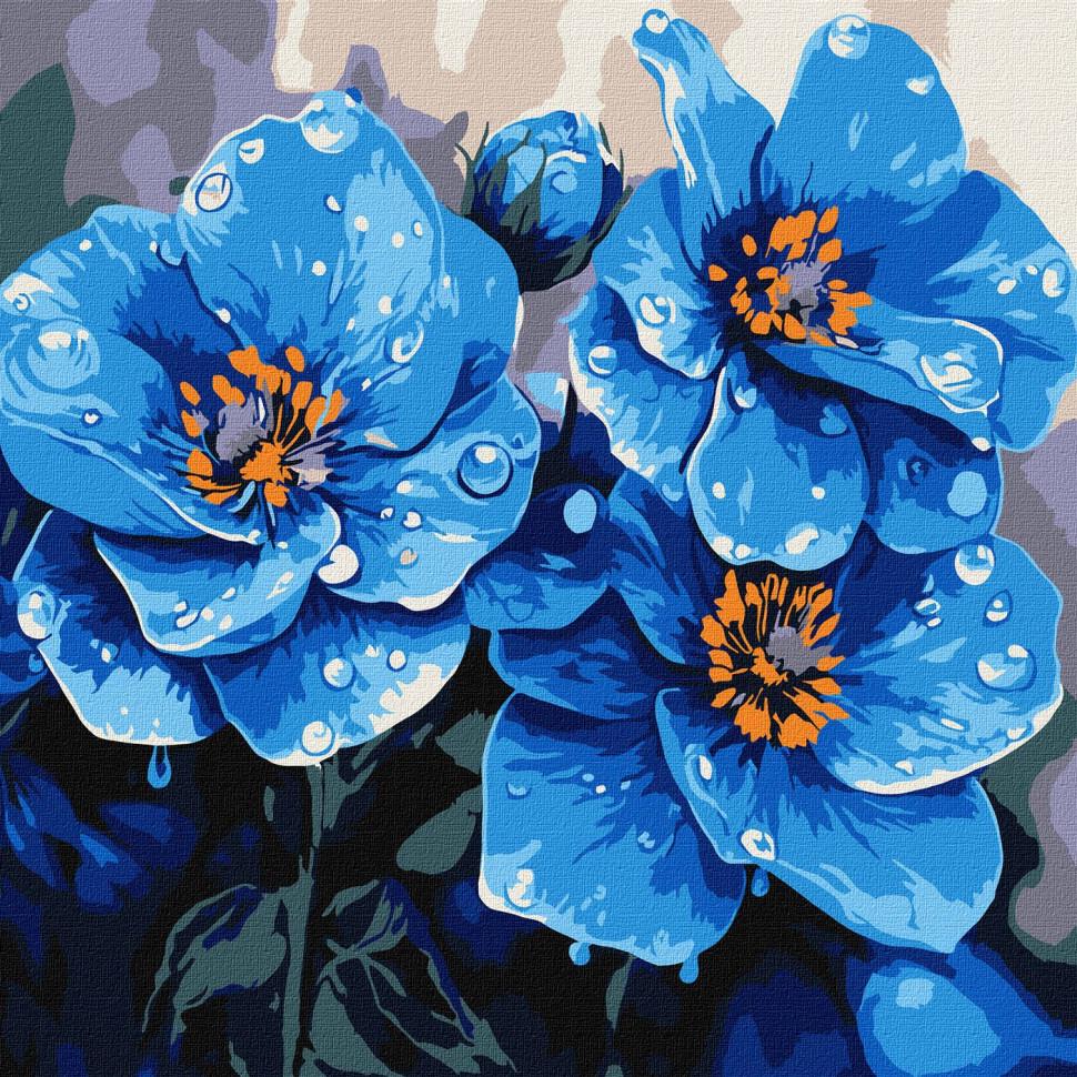 Картина за номерами Ideyka Фіалки щоранку 30x30 см Різнокольоровий (PM-194-K-1569)