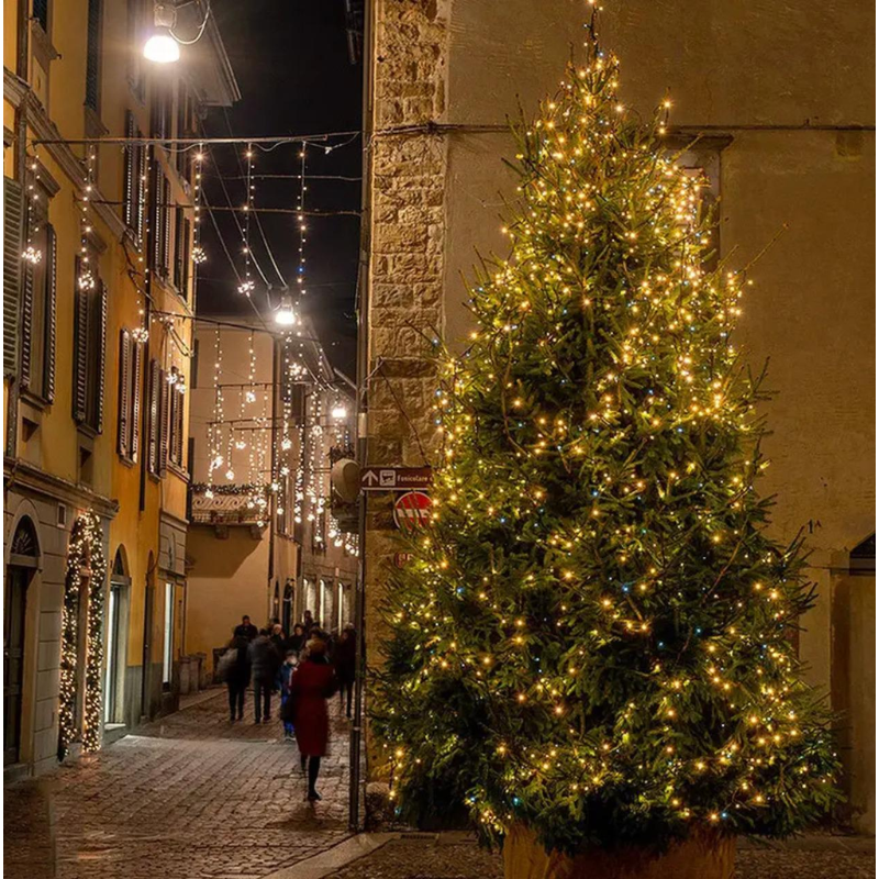 Гірлянда з дистанційним керуванням Роса USB теплий/холодний 120 м 1200 діодів Зелений (2811439755) - фото 9