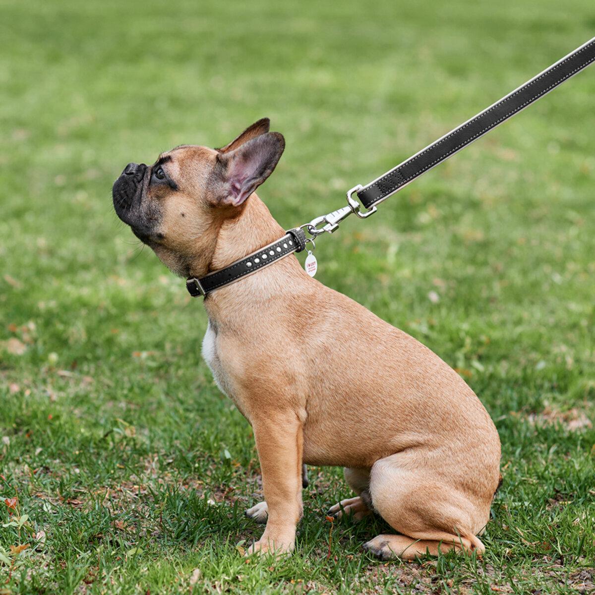 Ошейник для собак кожаный Waudog Soft с QR паспортом/металлические украшения 15 мм х 27-36 см Черный (7194 Col)