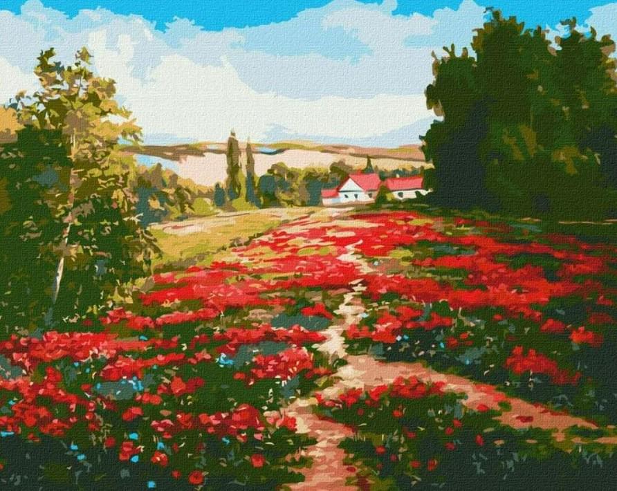 Картина по номерам Идейка Маковое поле 40х50 см (KHO2868)