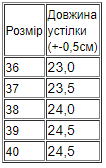 Черевики жіночі демісезон р. 38 Коричневий (10787-v4) - фото 2