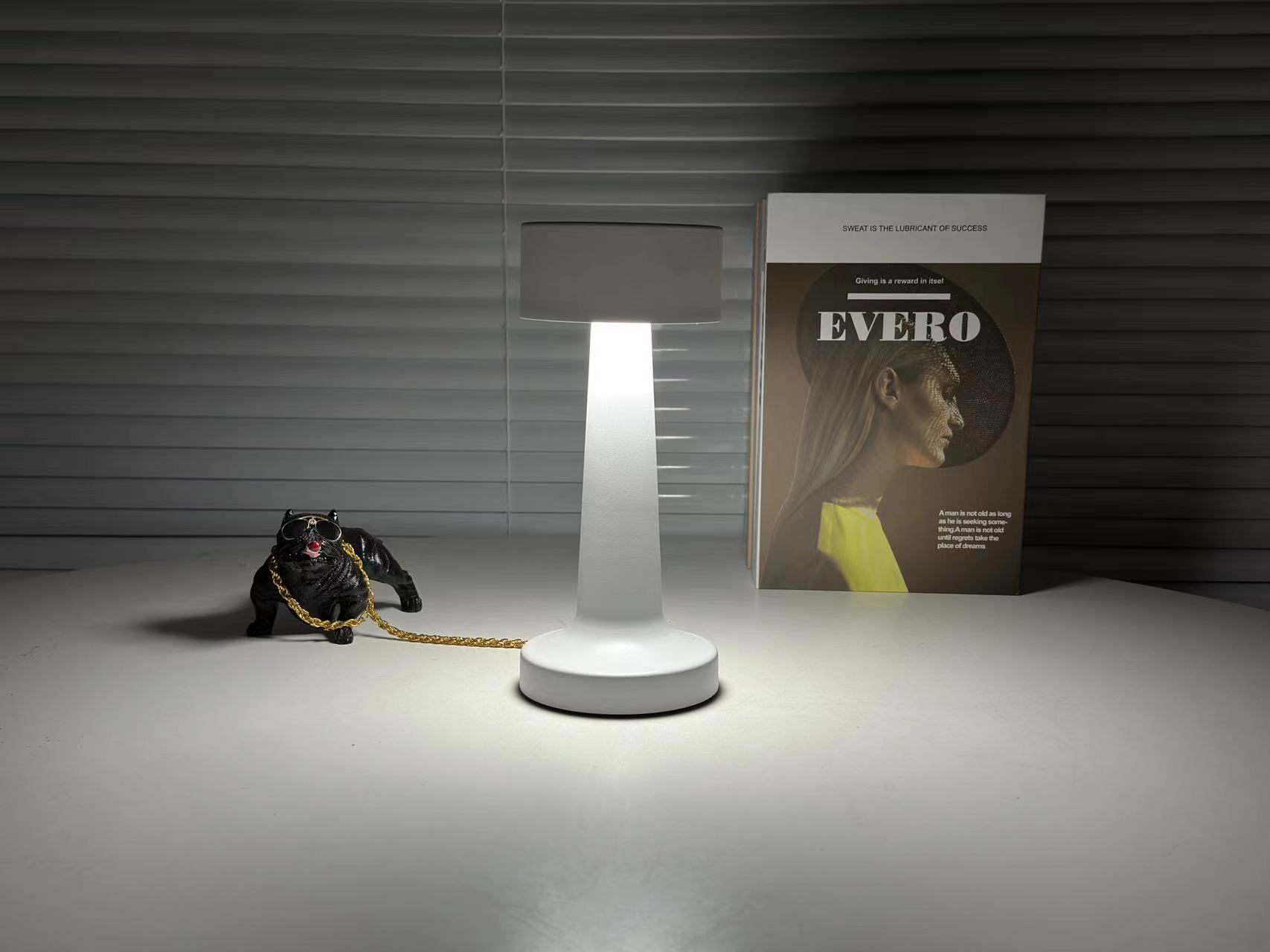 Лампа настольная светодиодная DOWN LIGHT R-SENSOR 2W White - фото 5