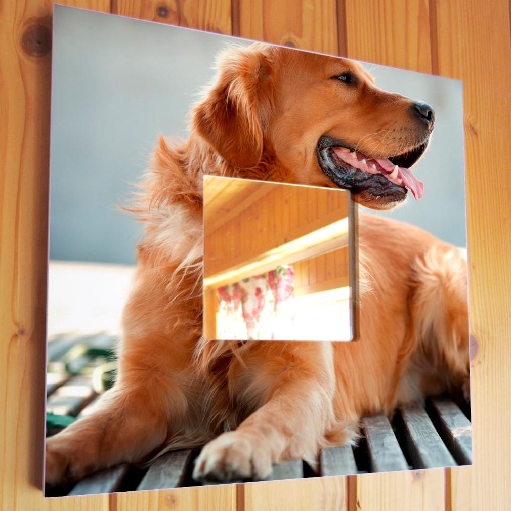 Зеркало декоративное Золотой ретривер 260х260 мм (M03737)