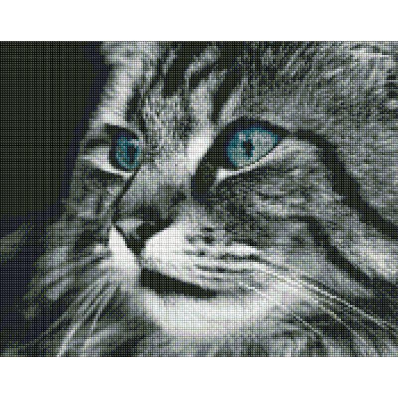 Алмазная мозаика Идейка Изумрудные глаза 40x50 см (AMO7389)