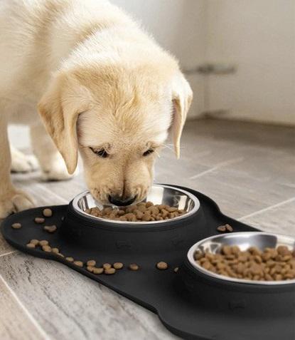 Миска для корму та води подвійна з нержавіючої сталі для котів та собак антиковзка - фото 8 Миска для корму та води подвійна з нержавіючої сталі для котів та собак антиковзка - фото 8
