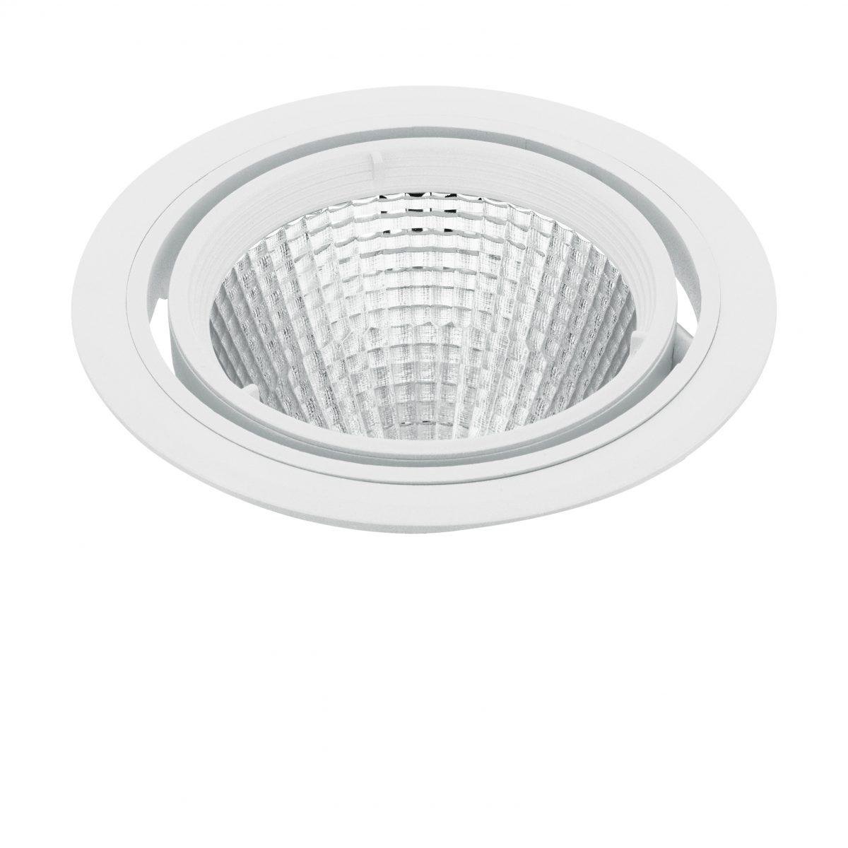 Светильник настенно-потолочный Eglo FERRONEGO/PROFESSIO (61429)