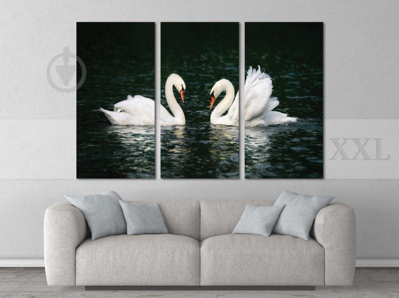 Модульна картина Poster-land Лебеді Озеро Art-182_XXL