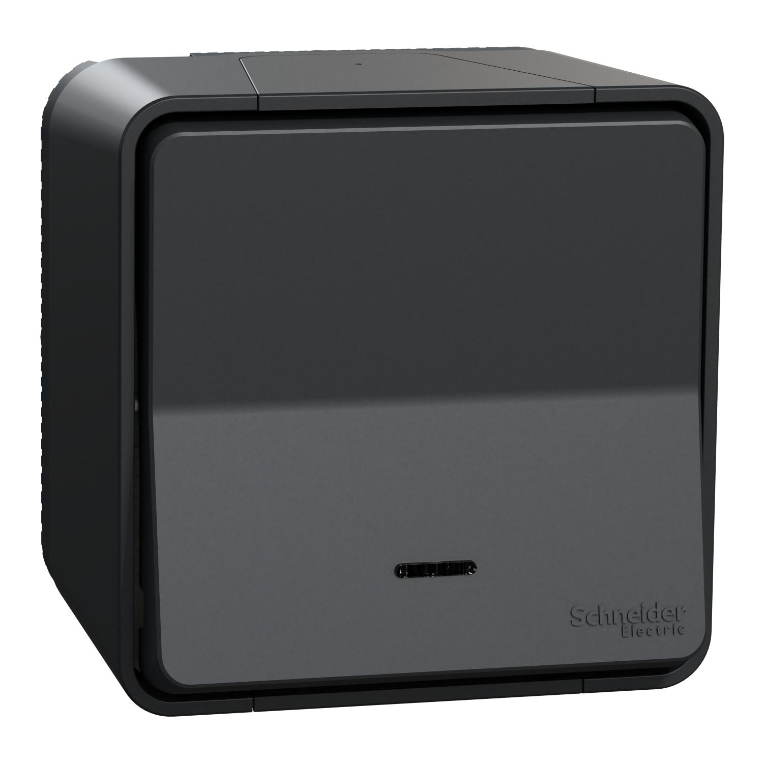 Выключатель проходной Schneider Electric Mureva Styl с подсветкой IP55 для поверхностного монтажа Черный (MUR35024) Выключатель проходной Schneider Electric Mureva Styl с подсветкой IP55 для поверхностного монтажа Черный (MUR35024)