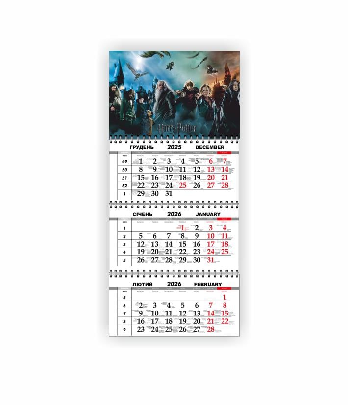Календарь настенный квартальный Vivay Гарри Поттер на 2026 год (31064172)