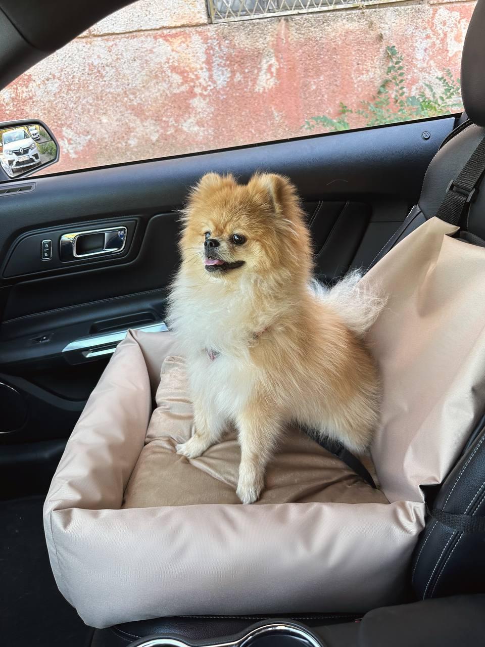 Автокрісло-автогамак Incor для собак і кішок зі знімним чохлом 52x52 см Бежевий (Б-52) - фото 9 Автокрісло-автогамак Incor для собак і кішок зі знімним чохлом 52x52 см Бежевий (Б-52) - фото 9