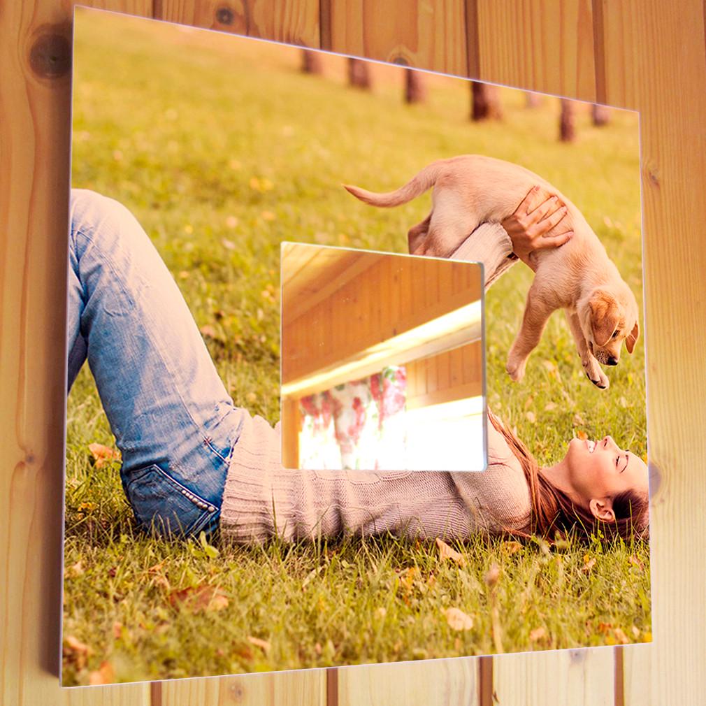 Зеркало декоративное Мое домашнее животное 260х260 мм (M03541) Зеркало декоративное Мое домашнее животное 260х260 мм (M03541)