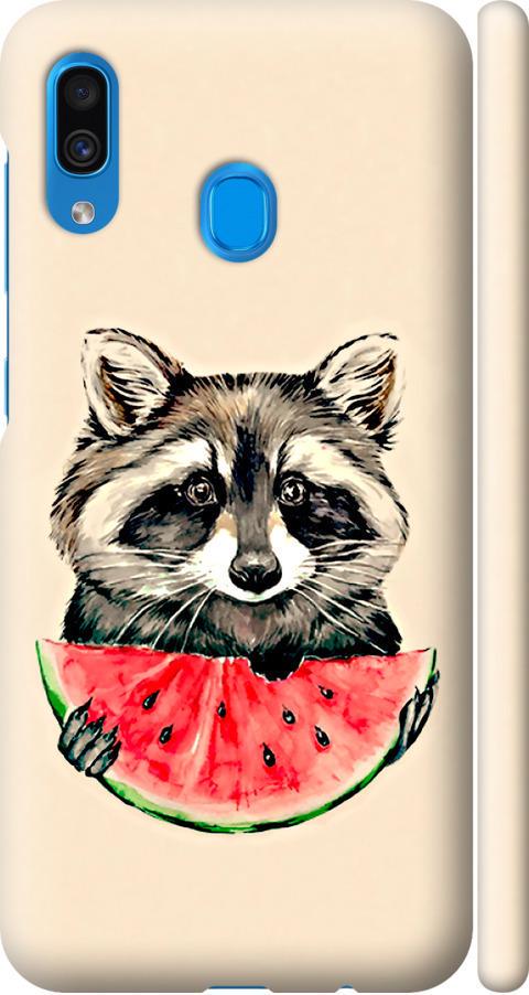Чохол на Samsung Galaxy A20 2019 A205F Єнотик з кавуном (4605m-1761-42517)