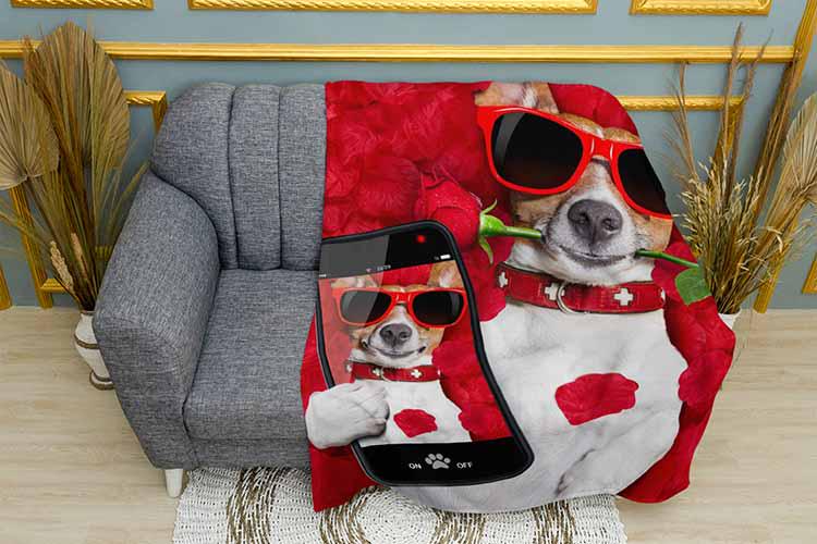 Плед Jack Russell terrier in roses плюш двухслойный 135х150 см (113449-2) Плед Jack Russell terrier in roses плюш двухслойный 135х150 см (113449-2)