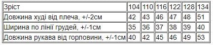 Худі для дівчинки Носи Своє 104 см Синій (6353-025-5) - фото 2