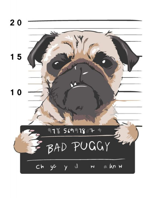 Картина по номерам Rosa Bad Puggy 35х45 см (N00013215)