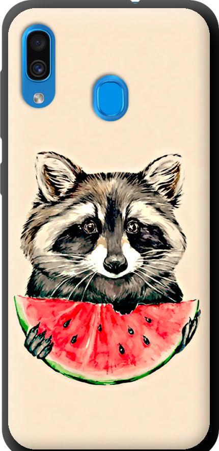 Чехол на Samsung Galaxy A20 2019 A205F Енотик с арбузом (4605b-1761-42517) Чехол на Samsung Galaxy A20 2019 A205F Енотик с арбузом (4605b-1761-42517)