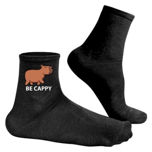 Носки мужские Капибара "Be Cappy" р. 41-43 Черный (13450975-2-184882-41-43)