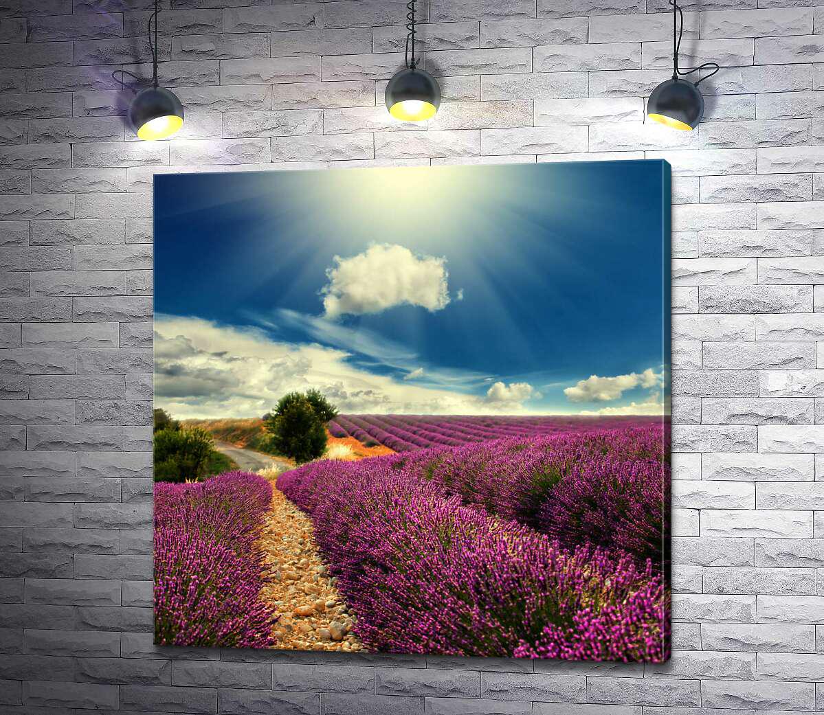 Картина ArtPoster Ряды лавандового поля тянутся вдоль дороги 100x100 см Модуль №1 (002571)