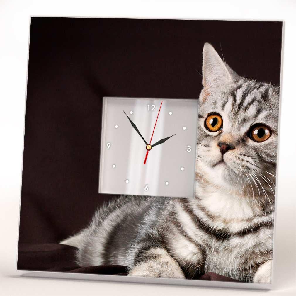 Часы настенные для дома WonderCloud котик 260x260 мм (C04153)