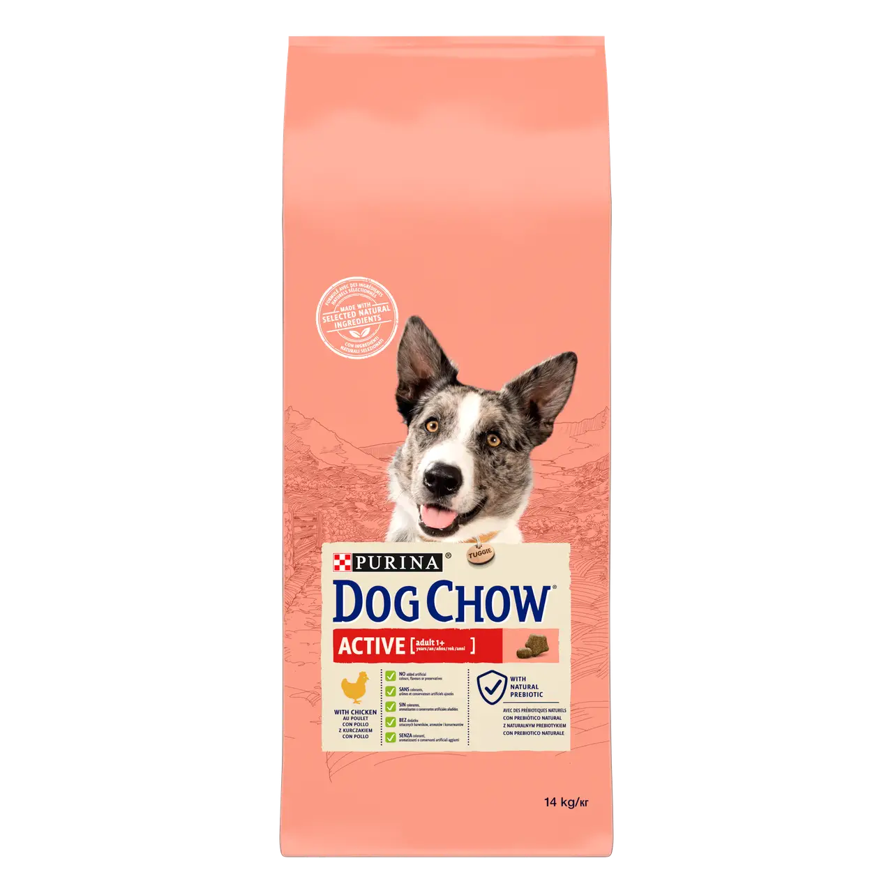 Корм Dog Chow Active для дорослих активних собак із куркою 14 кг