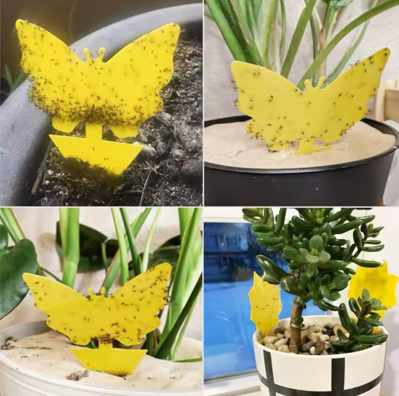 Комплект двосторонніх клейових пасток для комах 36 шт. Жовтий (723897792112) - фото 5 Комплект двосторонніх клейових пасток для комах 36 шт. Жовтий (723897792112) - фото 5