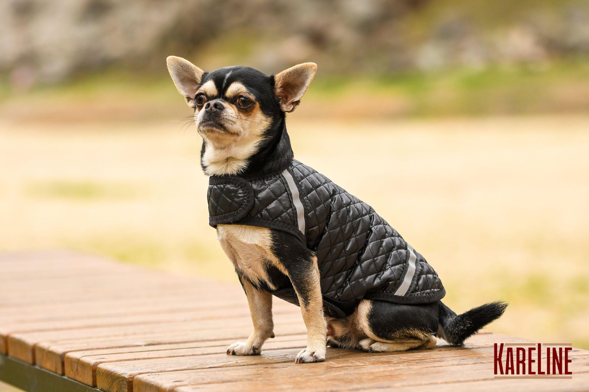 Попона KARELINE из стеганой плащевки на флисе ХS (90031/1) - фото 5 Попона KARELINE из стеганой плащевки на флисе ХS (90031/1) - фото 5