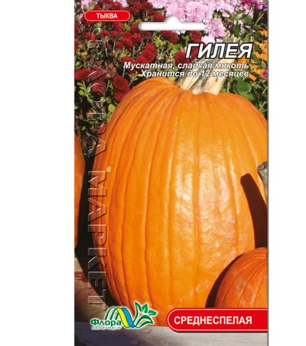 Насіння гарбуза Гілея середньостигла мускатна яскраво-помаранчева солодка 3-5 кг 2 г (27095)