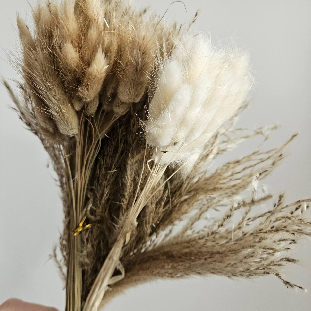Букет сушеников из пампасной травы Бохо-шик (2552476075)